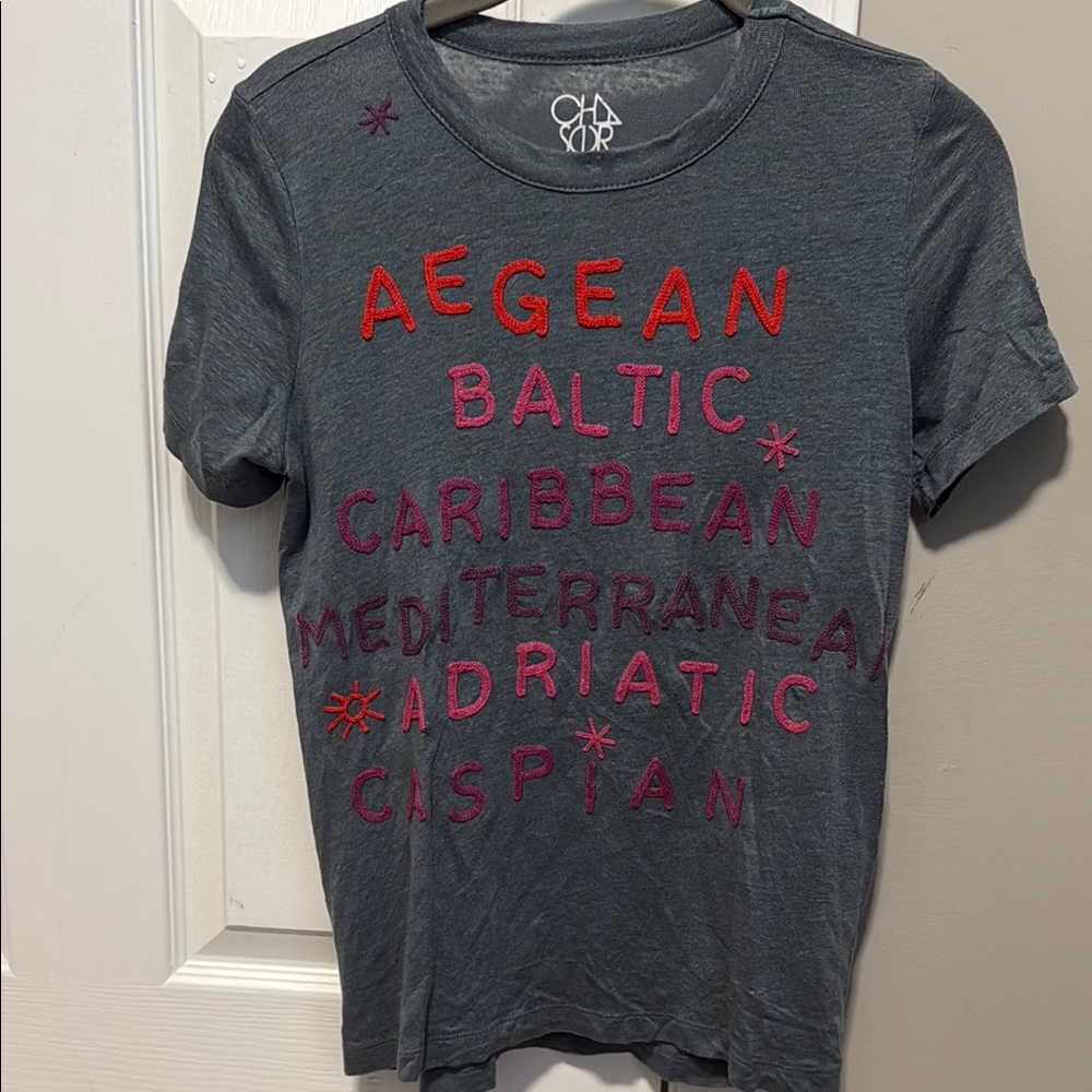 Chaser for Anthropologie Grayish Green Graphic T-shirt with Embroidery XS